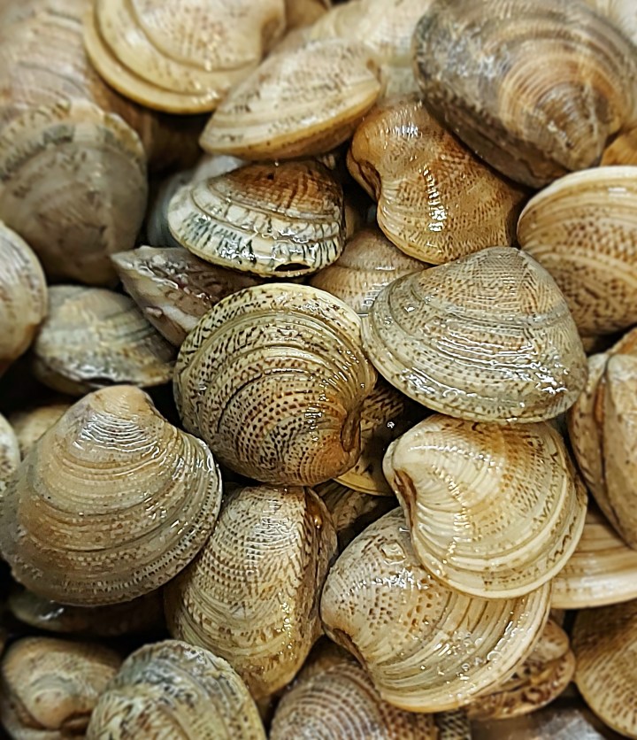 Come scegliere, pulire e spurgare le&nbsp;vongole