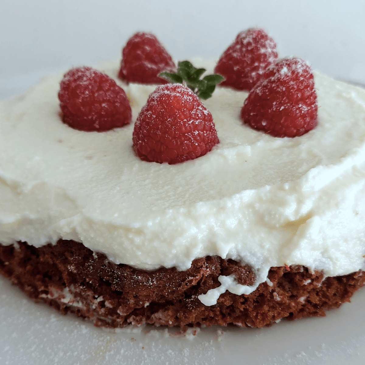Torta bassetta con yogurt, cacao e frutti di&nbsp;bosco